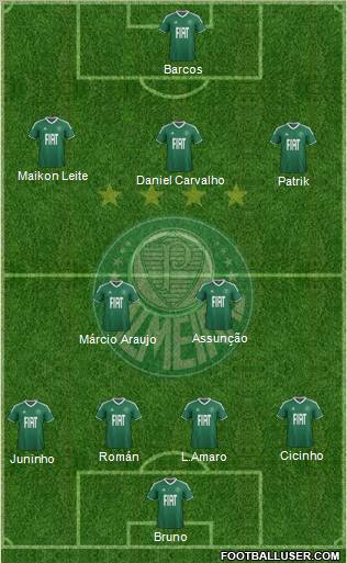 SE Palmeiras Formation 2012