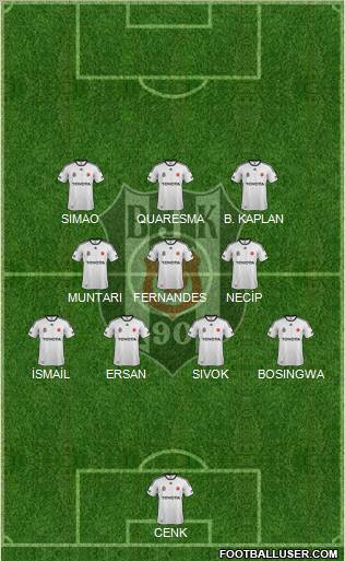 Besiktas JK Formation 2012