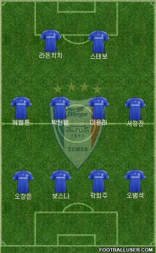 Suwon Samsung Blue Wings Formation 2012
