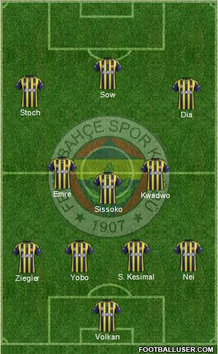Fenerbahçe SK Formation 2012