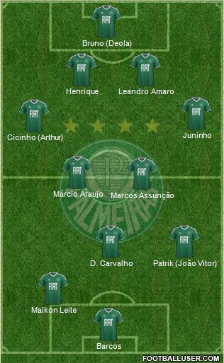 SE Palmeiras Formation 2012