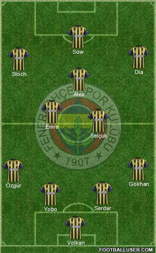 Fenerbahçe SK Formation 2012
