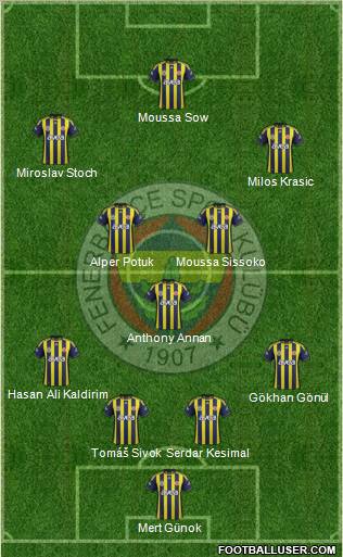 Fenerbahçe SK Formation 2012