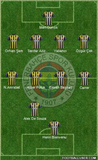 Fenerbahçe SK Formation 2012