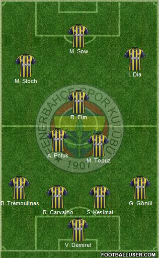 Fenerbahçe SK Formation 2012