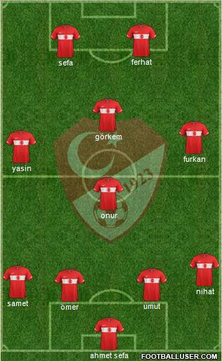 Turkey Formation 2012