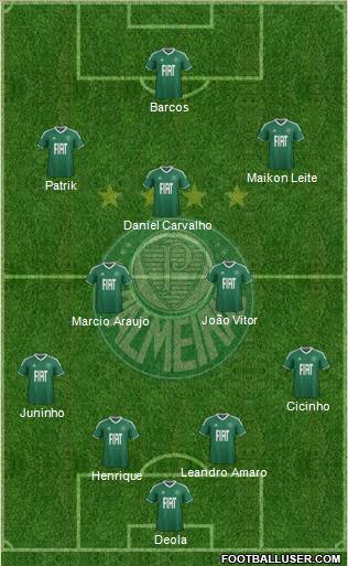 SE Palmeiras Formation 2012