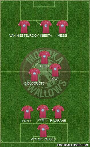 Moroka Swallows Formation 2012