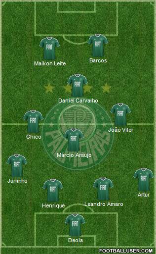 SE Palmeiras Formation 2012