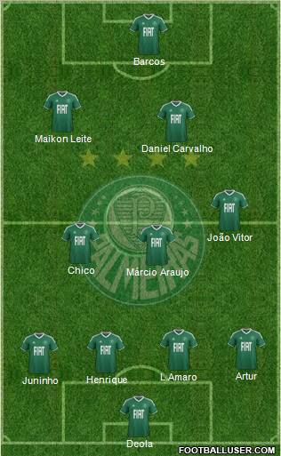 SE Palmeiras Formation 2012