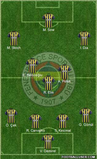 Fenerbahçe SK Formation 2012