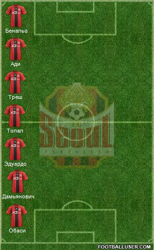 FC Seoul Formation 2012