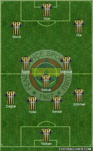 Fenerbahçe SK Formation 2012