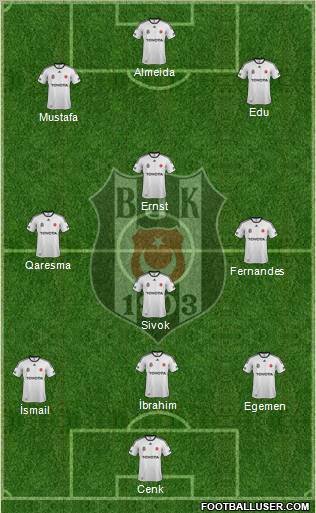 Besiktas JK Formation 2012