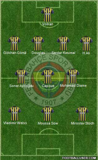 Fenerbahçe SK Formation 2012