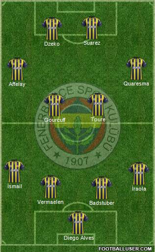 Fenerbahçe SK Formation 2012