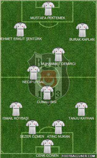 Besiktas JK Formation 2012