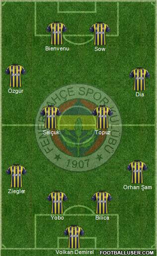Fenerbahçe SK Formation 2012