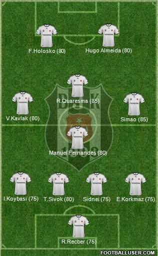 Besiktas JK Formation 2012