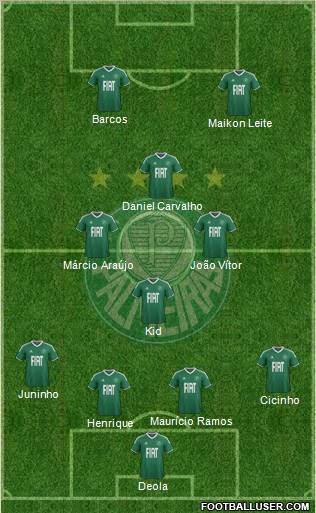 SE Palmeiras Formation 2012