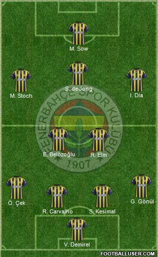 Fenerbahçe SK Formation 2012