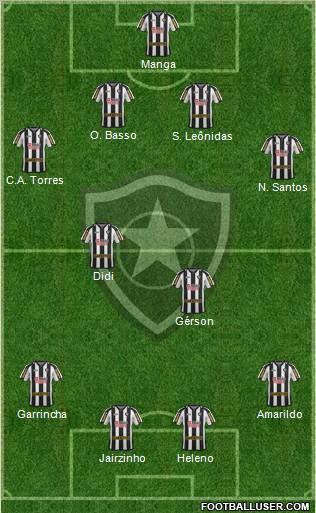 Botafogo FR Formation 2012