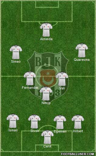 Besiktas JK Formation 2012