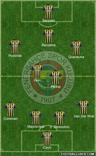 Fenerbahçe SK Formation 2012