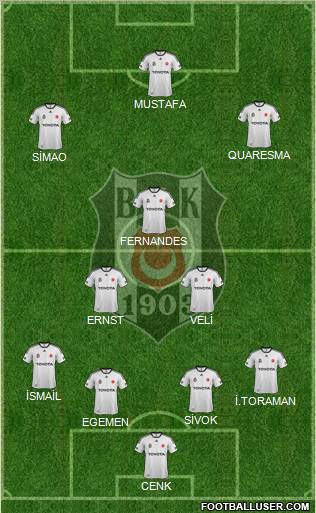 Besiktas JK Formation 2012