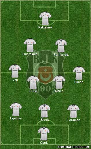 Besiktas JK Formation 2012