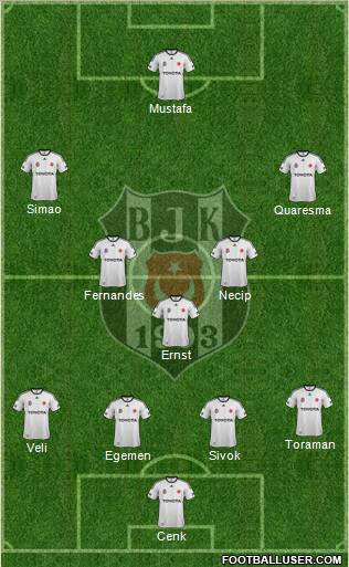 Besiktas JK Formation 2012