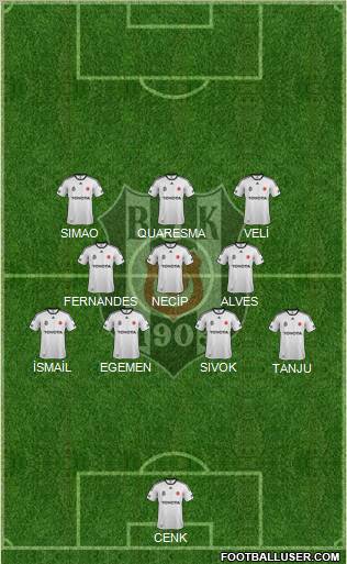 Besiktas JK Formation 2012
