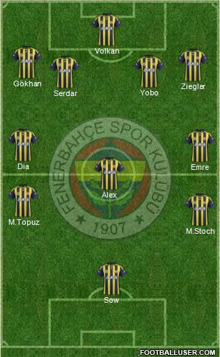 Fenerbahçe SK Formation 2012
