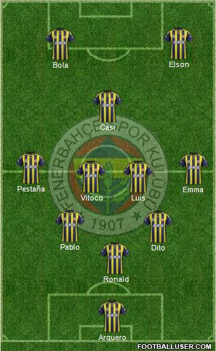 Fenerbahçe SK Formation 2012