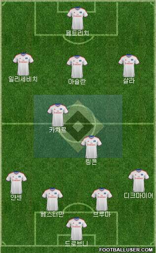 Hamburger SV Formation 2012