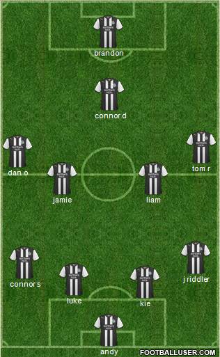 Newcastle United Formation 2012