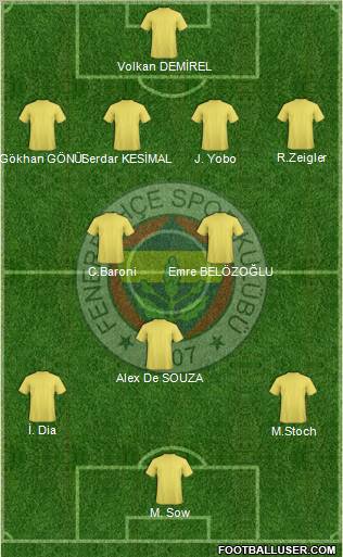 Fenerbahçe SK Formation 2012