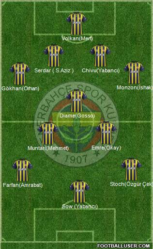 Fenerbahçe SK Formation 2012