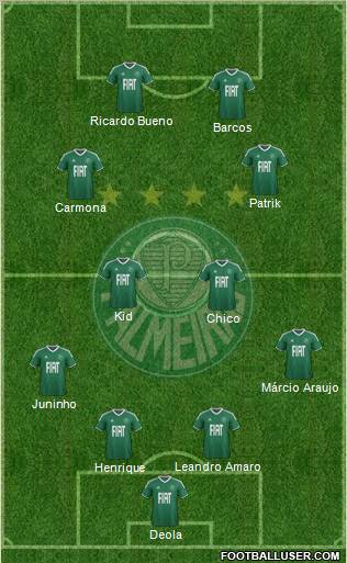 SE Palmeiras Formation 2012