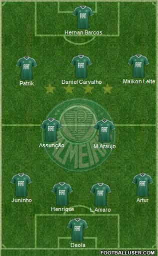 SE Palmeiras Formation 2012