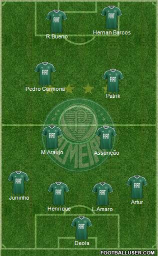 SE Palmeiras Formation 2012