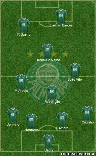 SE Palmeiras Formation 2012