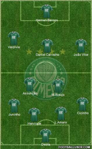 SE Palmeiras Formation 2012