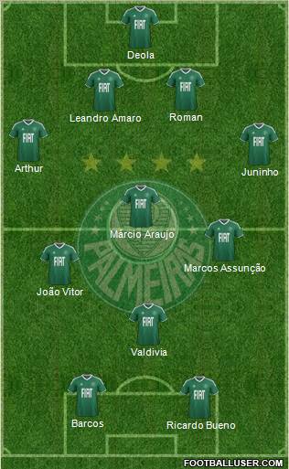 SE Palmeiras Formation 2012