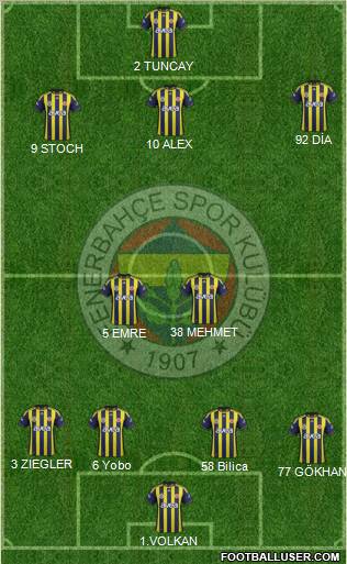 Fenerbahçe SK Formation 2012