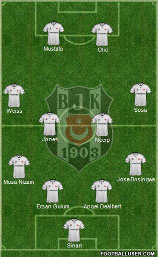 Besiktas JK Formation 2012