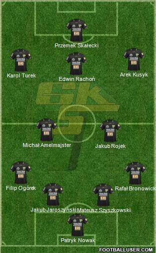 Gornik Leczna Formation 2012
