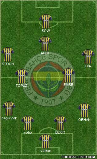 Fenerbahçe SK Formation 2012