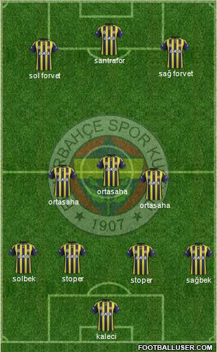 Fenerbahçe SK Formation 2012
