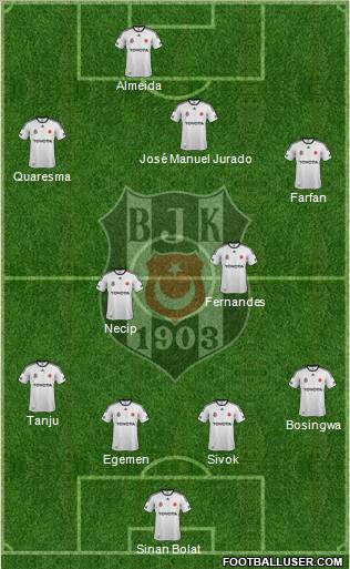 Besiktas JK Formation 2012